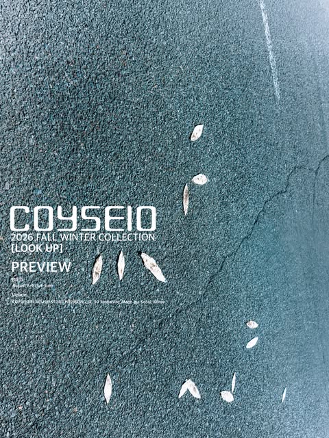 Visual Identity selected study 2